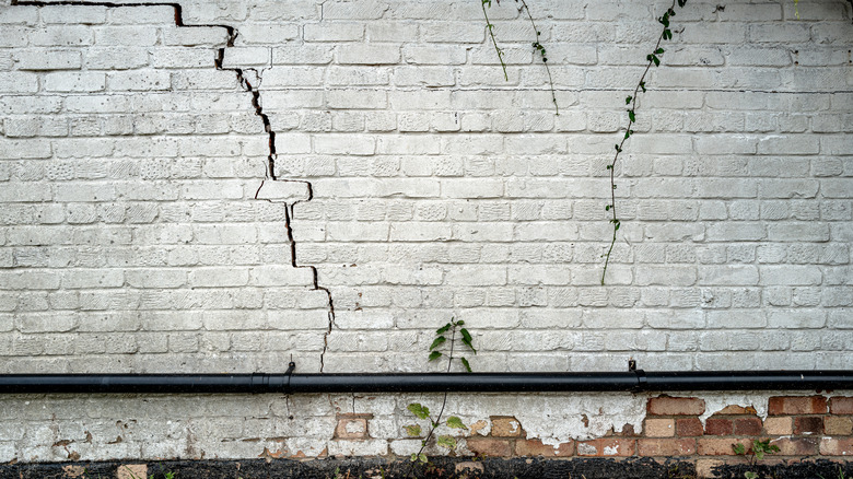 Crack in brick wall