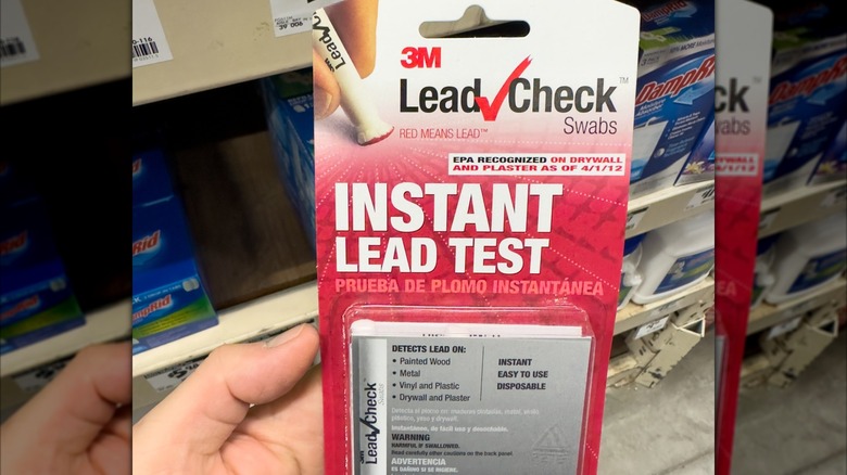 Person holding a lead swab test