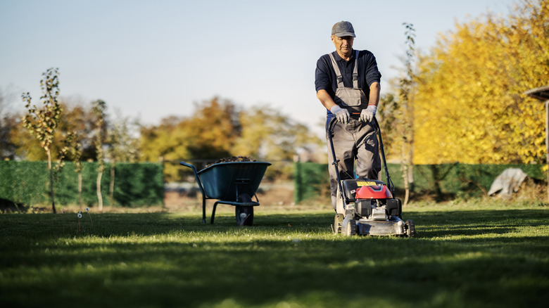 Man mowing lawn with a wheelbarrow of lawn debris