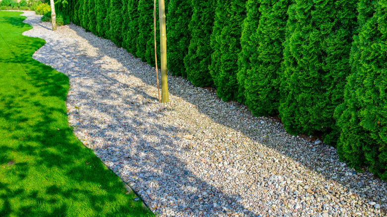 Wide gravel border between manicured lawn and treeline