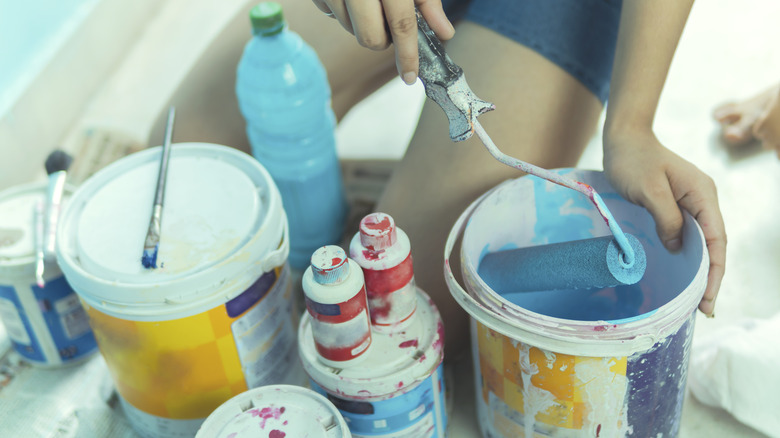 Wall painting supplies and paint