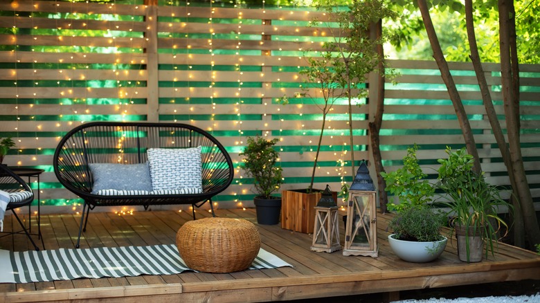 Patio with houseplants