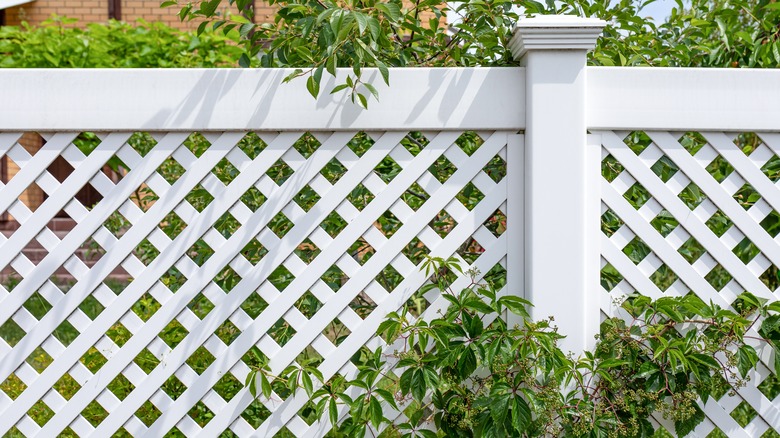 Lattice fence in backyard