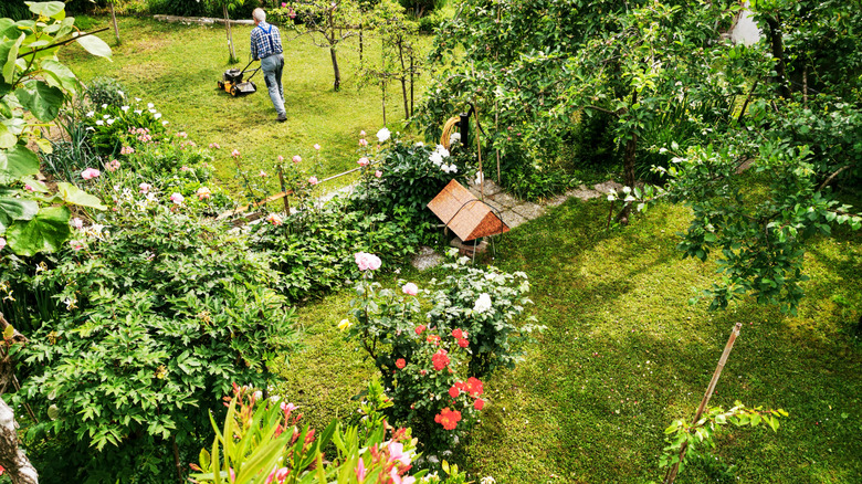 A man tending to a naturalistic garden in spring