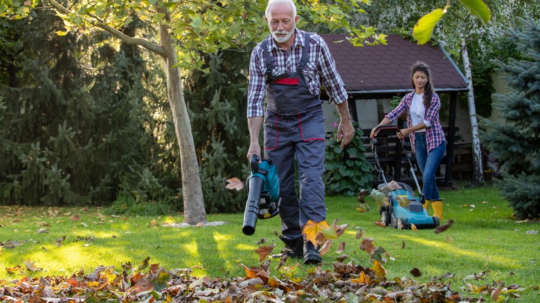 Man using lea blower on lawn