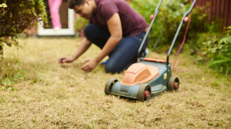 Man tending to brown lawn