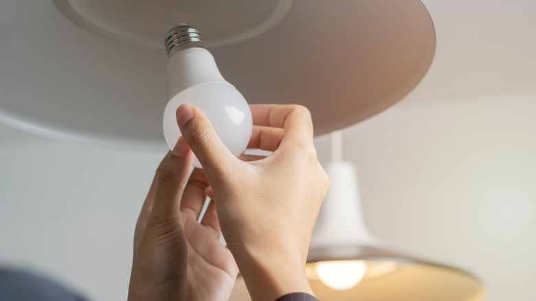 Person installs an LED lightbulb into light fixture