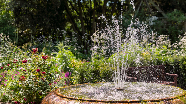 Water fountain amidst flowers in garden