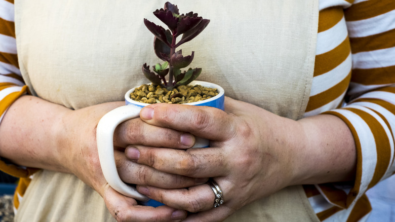 Woman holding a ceramic mug planter.