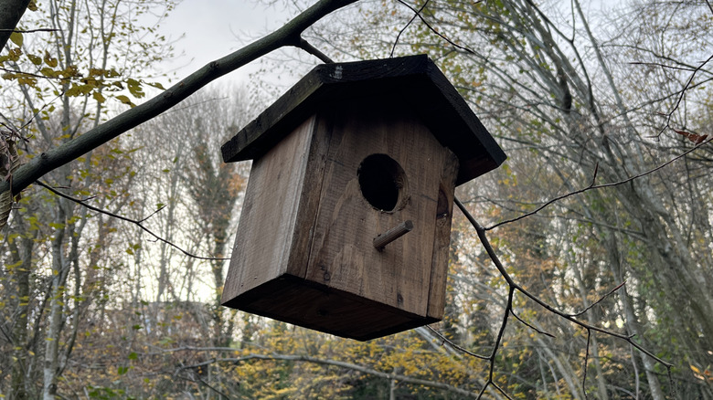 A birdhouse made from a single piece of scrap wood