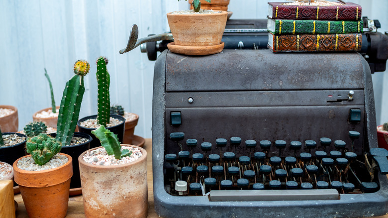 typewriter with plants