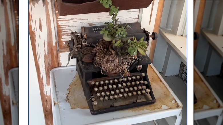 typewriter with succulents