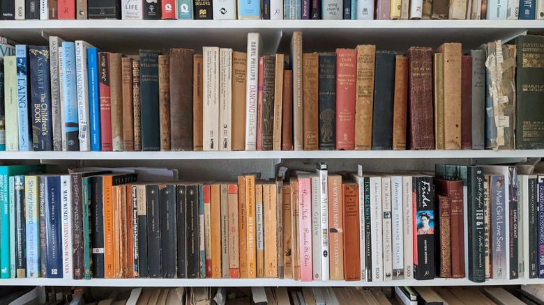 Shelf full of books.