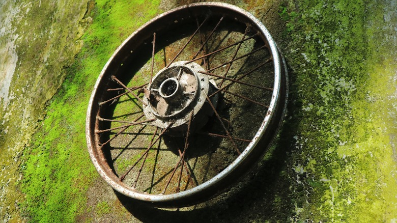 Old bicycle wheel rim