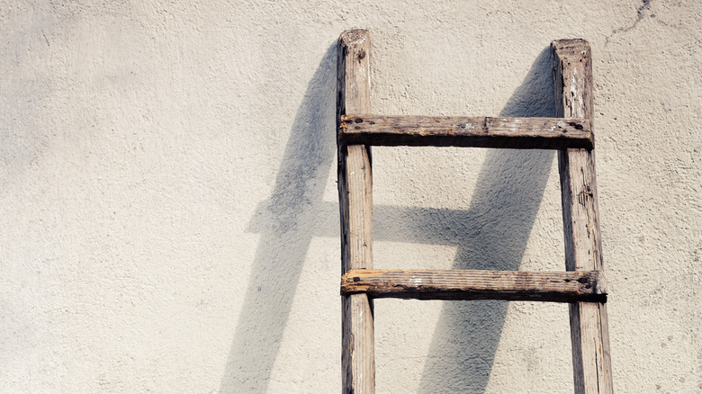 vintage ladder