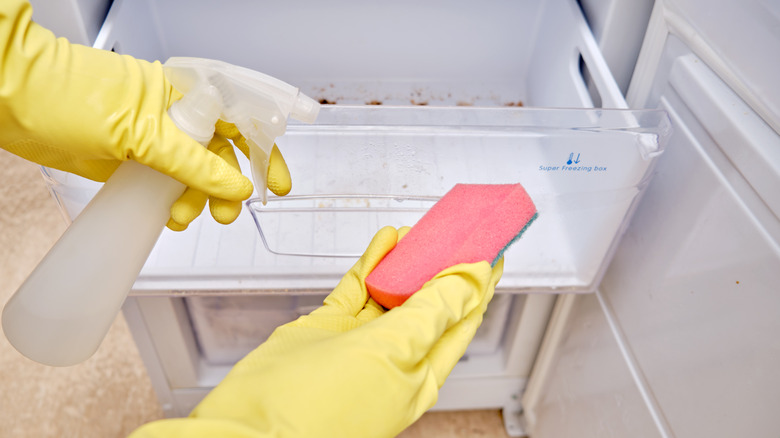 A person wears yellow gloves and uses a spray bottle and sponge to clean the interior of an old fridge.