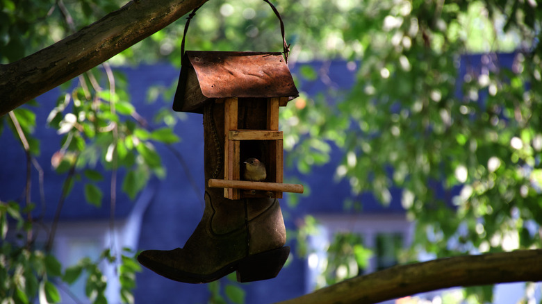 Bird perched in a boot birdhouse hanging from a tree
