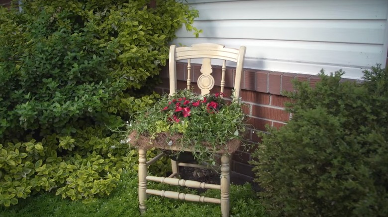 wooden chair turned into a planter