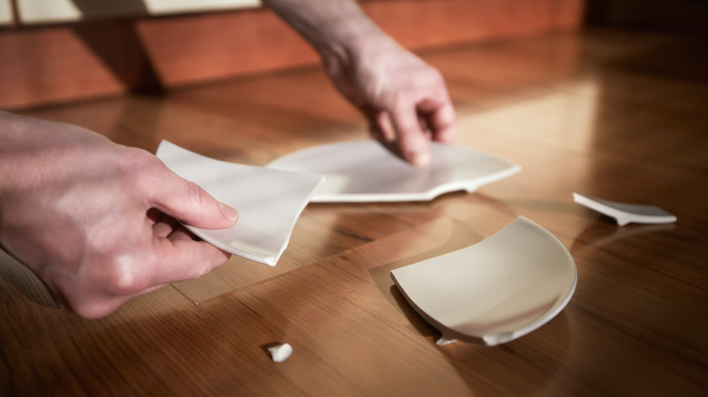 person holding broken plate