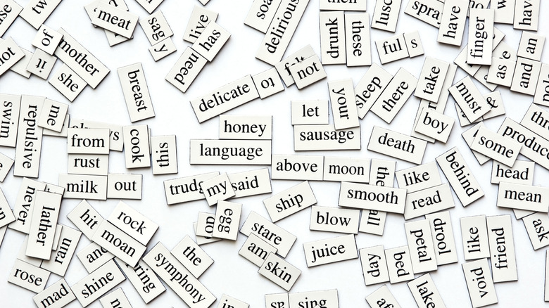 Assorted poetry magnets for the fridge