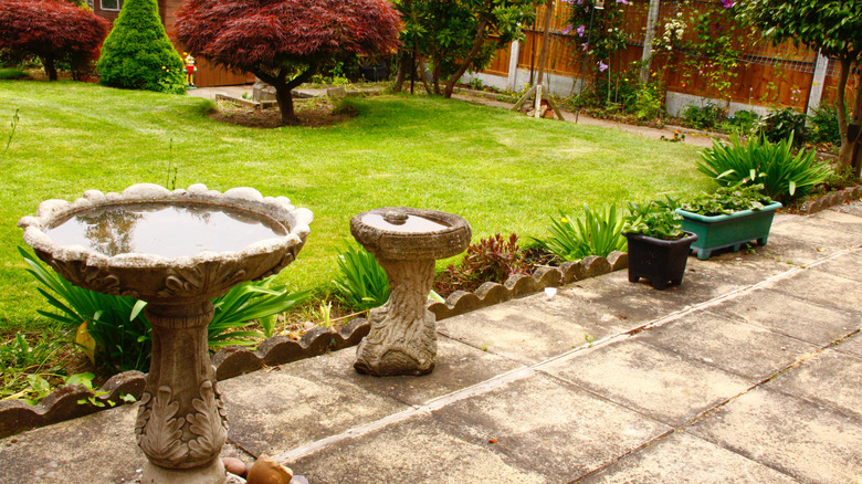 Two birdbaths positioned at the edge of a patio