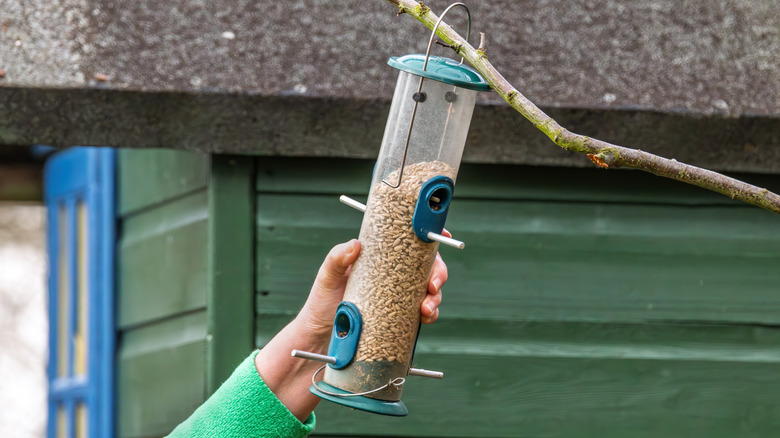 Person hanging up a bird feeder