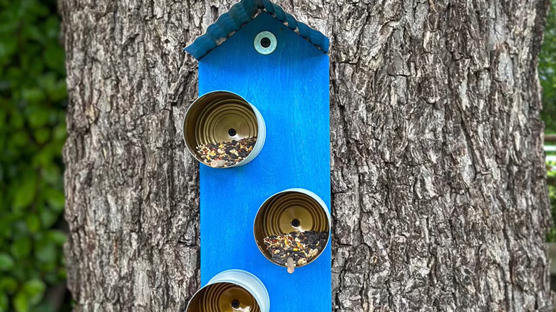 A DIY bird feeder made from tin cans and a blue-painted wooden backboard attached to a large tree trunk.