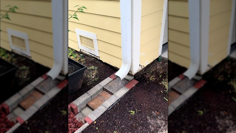 A downspout that is redirected to water a rain garden