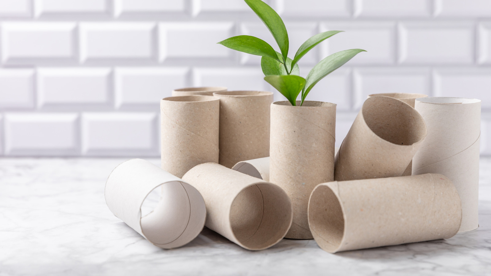 How To Turn Toilet Paper Rolls And Cardboard Into A 3d Wall Art Decor Piece