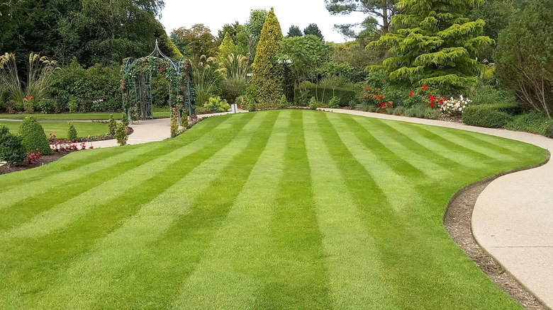 A well-kept garden with a lush green lawn