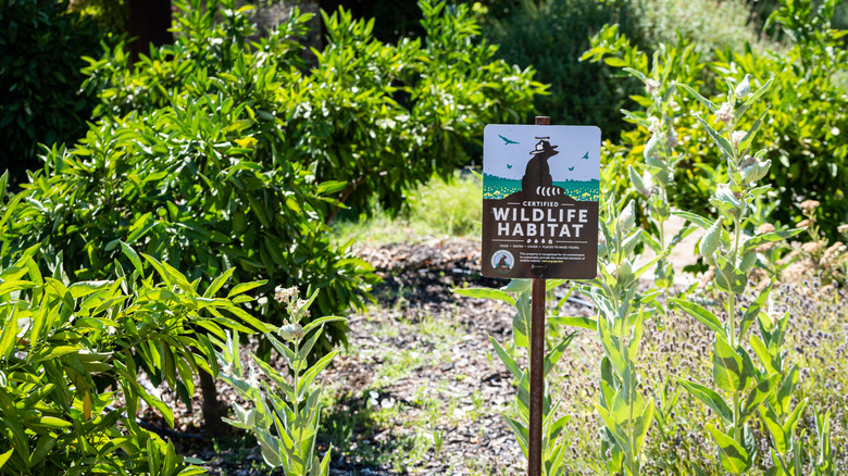 A certified wildlife habitat sign tells visitors to yard that plantings are intentional