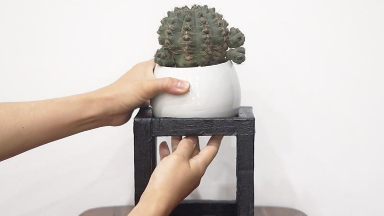 A black decorative plant stand with an open cube shape holds a plant in a white planter