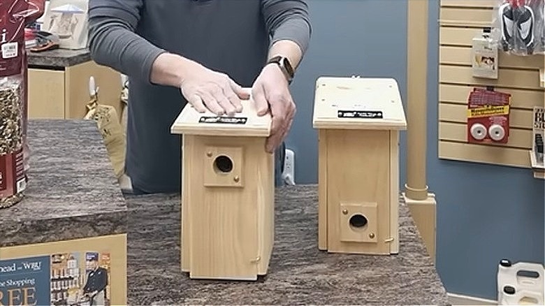 Man with hands on a bird nesting box beside roosting box in store