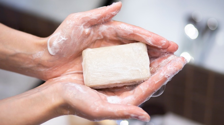 Hands holding bar of soap