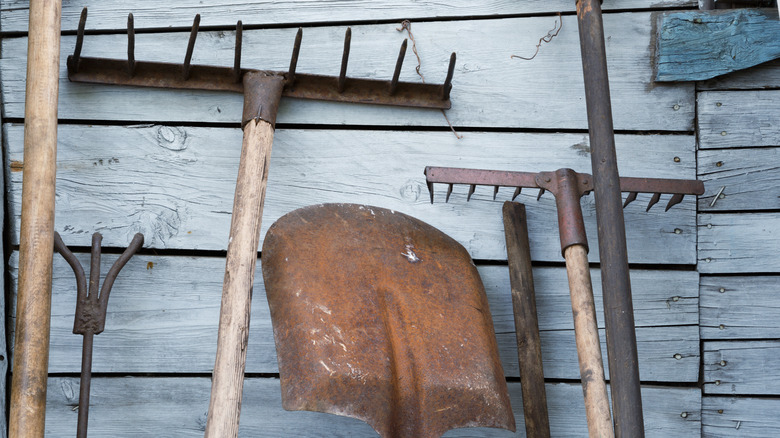 A handful of rusty garden tools are propped up against a wooden wall.