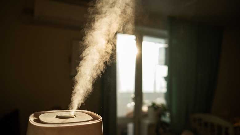 Humidifier releasing mist into a darkened room
