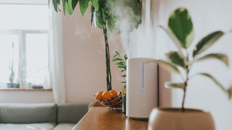 Humidifier releasing mist on top of wood console with plants
