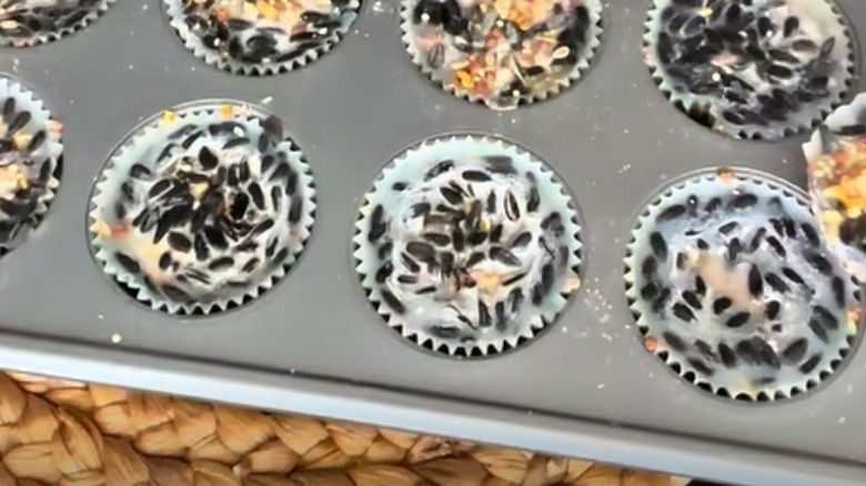A muffin tin is filled with paper-lined suet cakes.