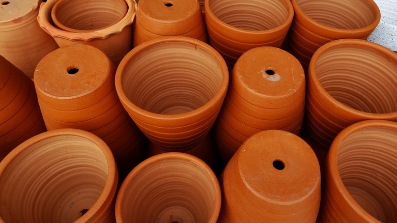 Terracotta flower pots