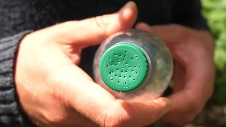 Two hands hold a plastic bottle with lots of tiny holes punched in the cap.