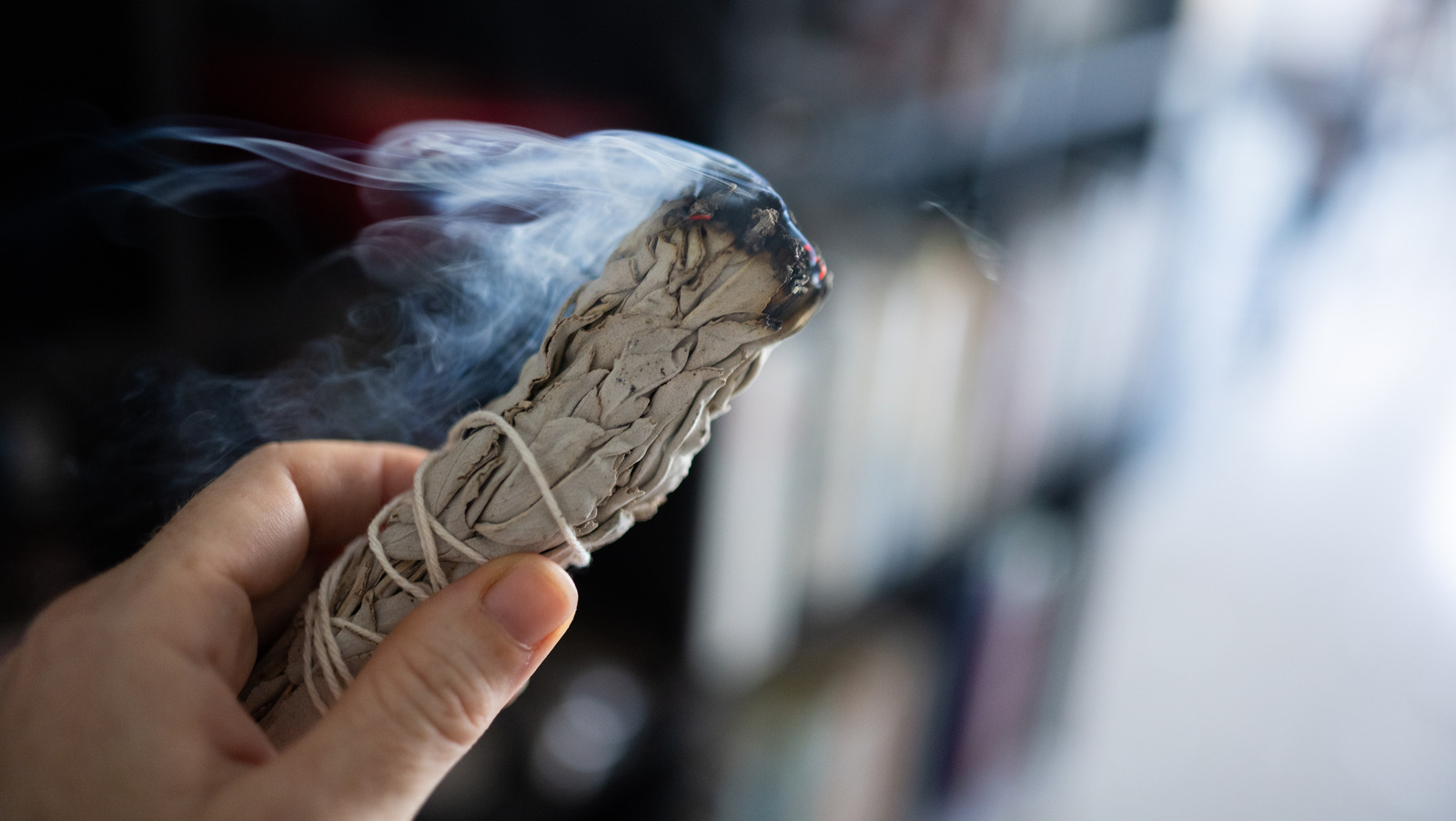 How To Use A Sage Bundle To Keep Bugs Away