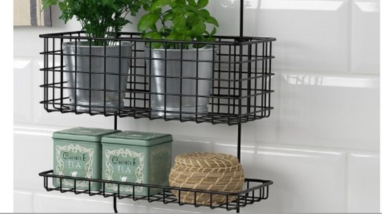 Shower caddy holding plants and canisters