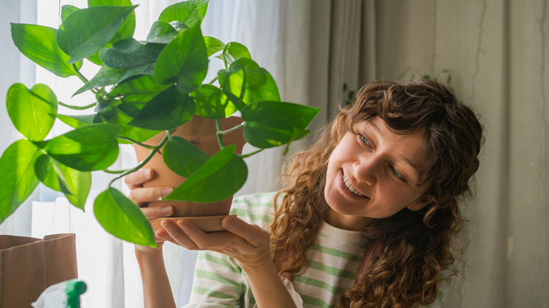 A woman holding a potted pothos plant inside her living room.