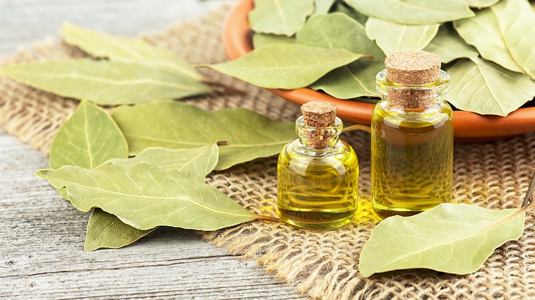Dried bay leaves and bay leaf oils set out on a woven cloth on a wooden table.