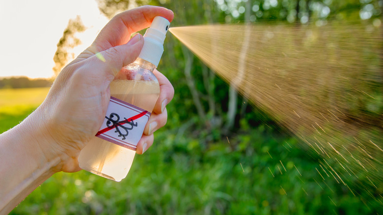 hand spray homemade bug spray