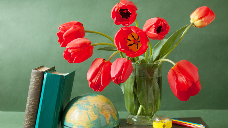 red tulips globe school books