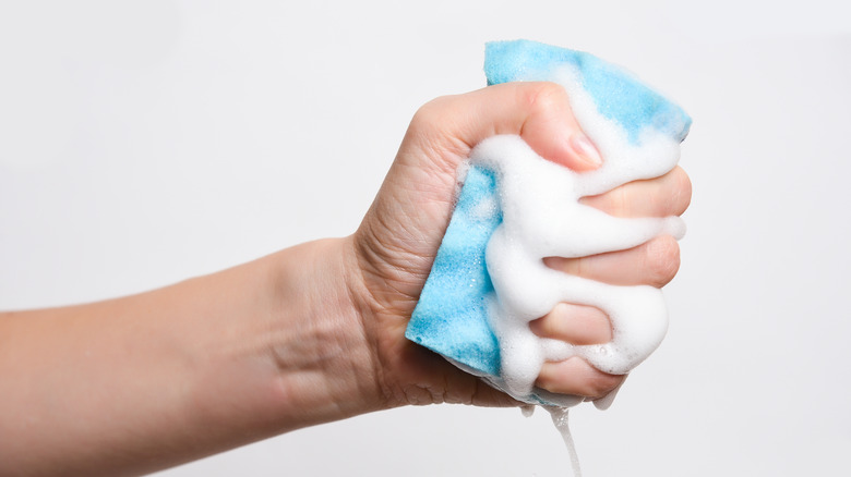 squeeze sponge dish soap