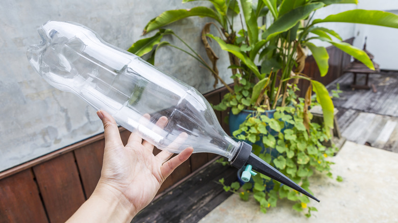 A DIY watering globe creation from an old plastic bottle