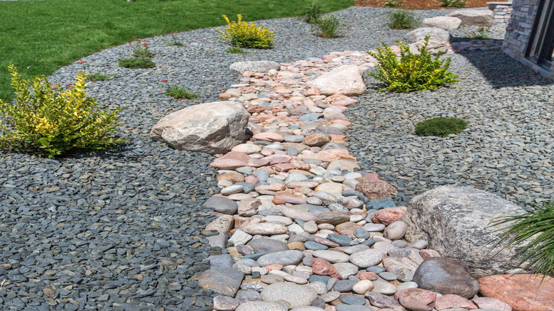 Dry creek bed landscaping