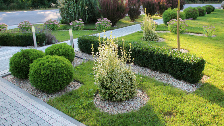 Landscaping featuring bushes and gravel